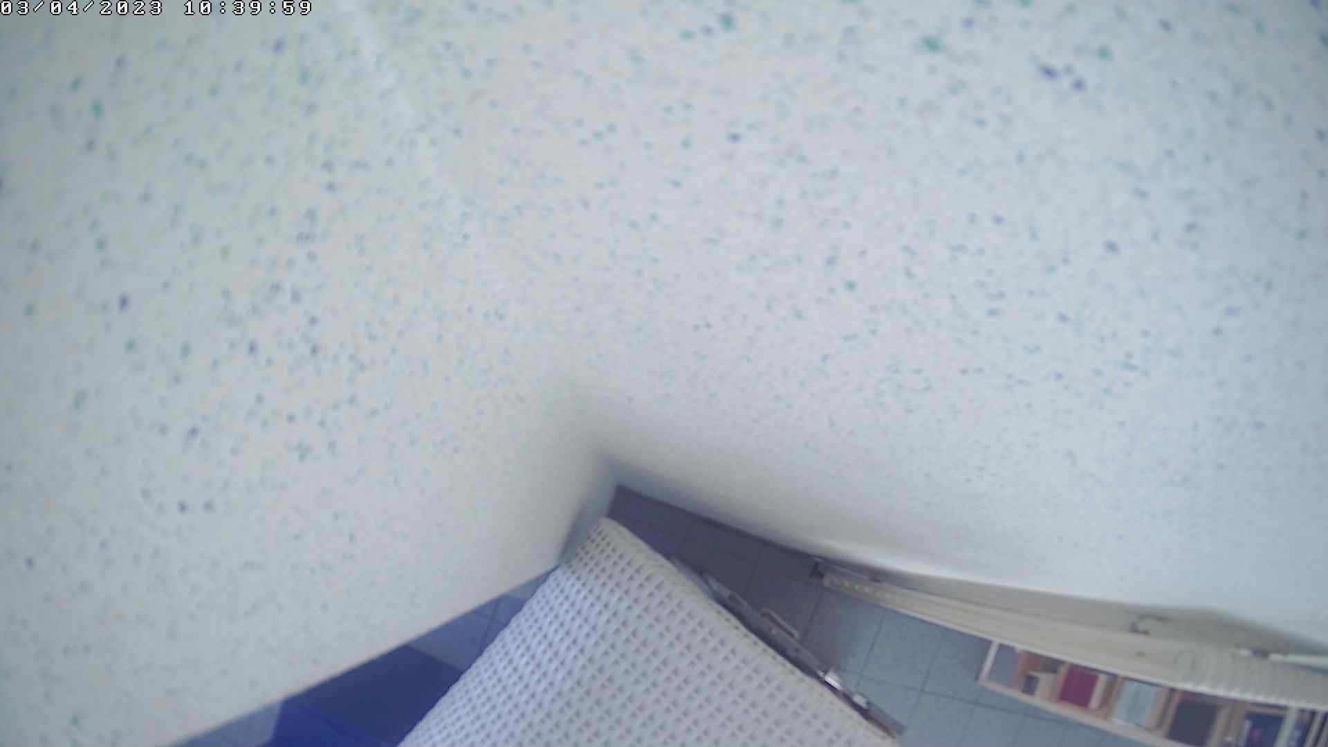 Webcam Image