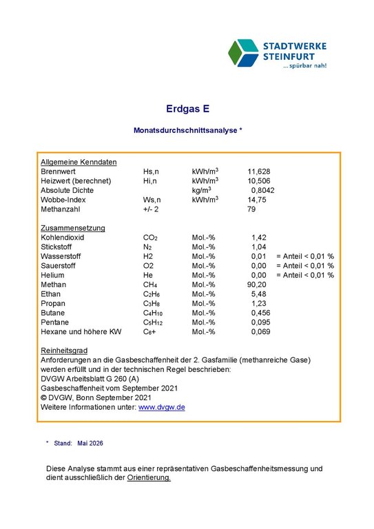 Erdgasanalyse