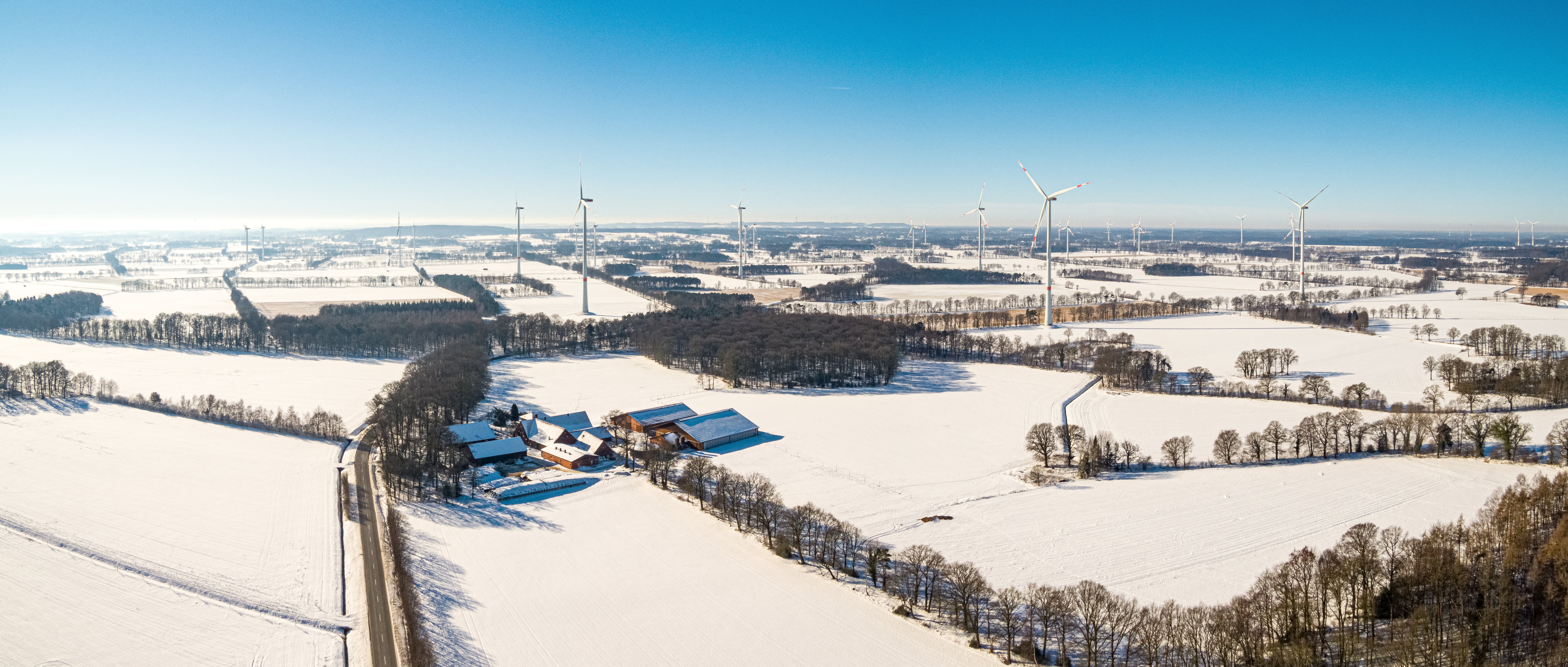 Hollich_Jörg Tiemann