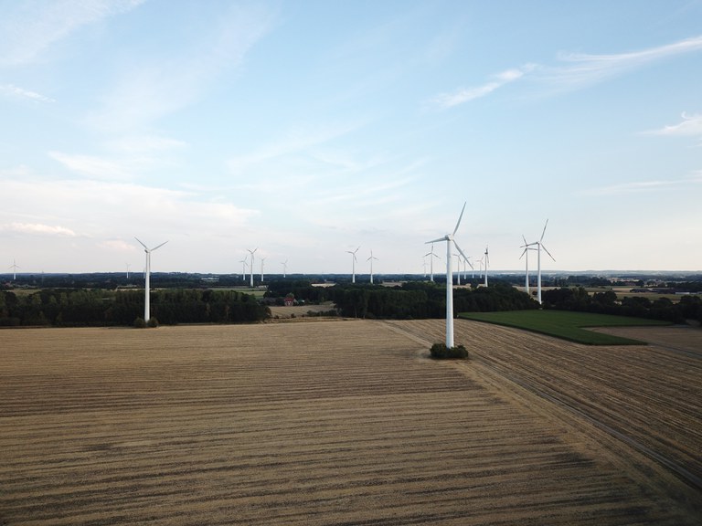 Wilmsberg_Andreas Tiemann_Ernte