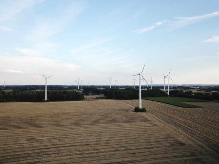 Wilmsberg_Andreas Tiemann_Ernte