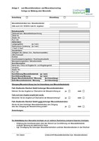 MRV-Anlage-4-Meldung-einer-Messstelle