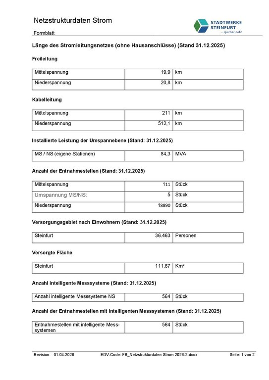 Netzstrukturdaten Strom